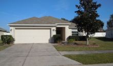 3432 Trapnell Ridge Dr Plant City, FL 33567
