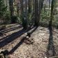 2529 Kennesaw Drive Nw, Kennesaw, GA 30152 ID:11757450