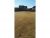 10 President Drive Fort Mitchell, AL 36856