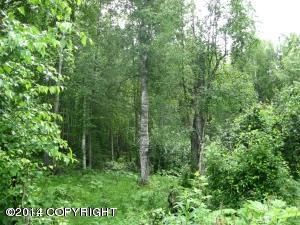 9645 W Trimotor Street, Wasilla, AK 99654