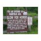 19984 KING FISHER LN, Loxahatchee, FL 33470 ID:11741482