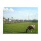 19984 KING FISHER LN, Loxahatchee, FL 33470 ID:11741483