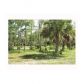 19984 KING FISHER LN, Loxahatchee, FL 33470 ID:11741484