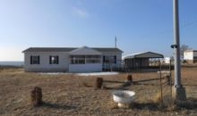 7004 State Rd 203 Fort Sumner, NM 88119