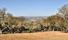 1520 Bunkhouse Court Templeton, CA 93465