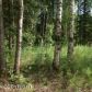 9970 W Stanley Drive, Wasilla, AK 99654 ID:11525750