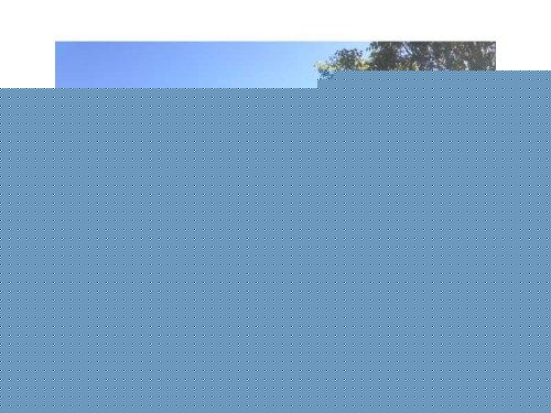 2328 SE 21 ST # 2328, Homestead, FL 33035