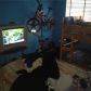 1431 SW 44TH TE, Fort Lauderdale, FL 33317 ID:11174832