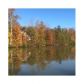 3838 Highway 92, Douglasville, GA 30135 ID:11801413