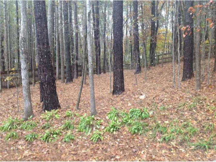 2098 Halfmoon Bluff, Cumming, GA 30041