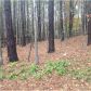 2098 Halfmoon Bluff, Cumming, GA 30041 ID:11722887