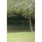 207 Riveredge Drive, Ellijay, GA 30536 ID:11815821