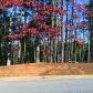 1025 Crooked Stick Lane, Guntersville, AL 35976 ID:11825057