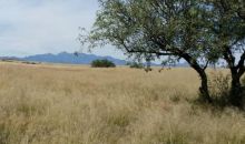 00 HILLCREST Elgin, AZ 85611
