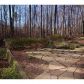1415 Willow Park Way, Cumming, GA 30041 ID:11855763