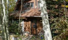 675 CACHE CREEK Jackson, WY 83001