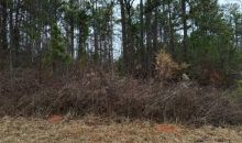 528 Great Oak Place Villa Rica, GA 30180