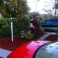 1 SW 10 AVE, Hallandale, FL 33009 ID:11775954
