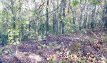 00 Meadow Creek Drive Arnoldsville, GA 30619