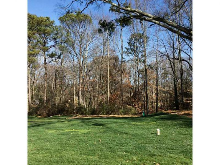 1070 Antioch Drive Ne, Atlanta, GA 30319