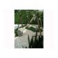 815 EUCLID AV # 7, Miami Beach, FL 33139 ID:11744995