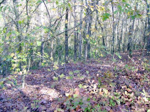 00 Meadow Creek Drive, Arnoldsville, GA 30619