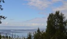 L6 B3 Potter Highlands Drive Anchorage, AK 99516