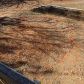 7311 Berea Rd, Winston, GA 30187 ID:11868479