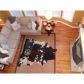 3776 Coralberry Way, Dacula, GA 30019 ID:11900172