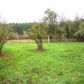 38791 Olmart Way, Lebanon, OR 97355 ID:11887588