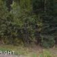 12086 W Looking Glass Drive, Big Lake, AK 99652 ID:11897066