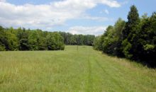 4154 Carters Point Road Buffalo Junction, VA 24529