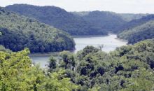 5.71 AC SEATON DRIVE Smithville, TN 37166