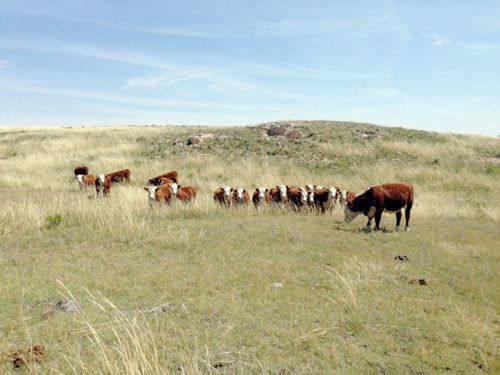 Co Rd 29, Kimball, NE 69145