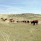 Co Rd 29, Kimball, NE 69145 ID:11915575