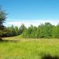 114 Ac Johns Run, Vernon Hill, VA 24597 ID:11929515
