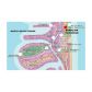8233 HARDING AV # 503, Miami Beach, FL 33141 ID:11946720