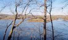 Sawmill Cove Lot 19 Rockwood, TN 37854