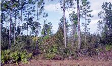 CR 274 Altha, FL 32421