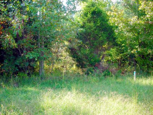 690 Farmington Rd, Skipwith, VA 23968