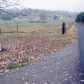 457 Glenlock Road, Sweetwater, TN 37874 ID:11931832