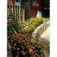 2964 Beechwood Drive, Lithia Springs, GA 30122 ID:11969742