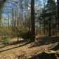 2337 Perimeter Road, Dawsonville, GA 30534 ID:11879277