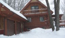 4260 S Sugarloaf Mountain Rd Cedar, MI 49621