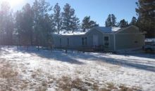 30 Rhyolite Ln Florissant, CO 80816