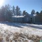 30 Rhyolite Ln, Florissant, CO 80816 ID:11998272