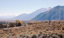 301 Adams Ranch Road (Lot #38) Genoa, NV 89411