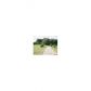 1140 Peck Circle, Watkinsville, GA 30677 ID:11900550
