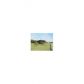 1140 Peck Circle, Watkinsville, GA 30677 ID:11900551