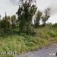 10721 N Dallas Circle, Palmer, AK 99645 ID:11801436